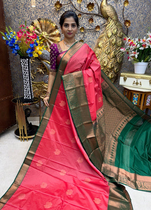 Premium Kanchi