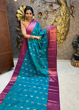 Premium Kanchi