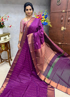 Kanchi Silk