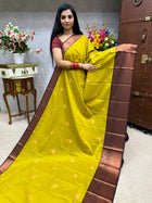 Premium Kanchi Coffee Brown Border