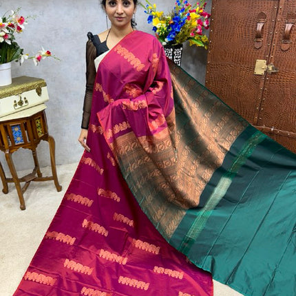 Border Less Kanchi Silk