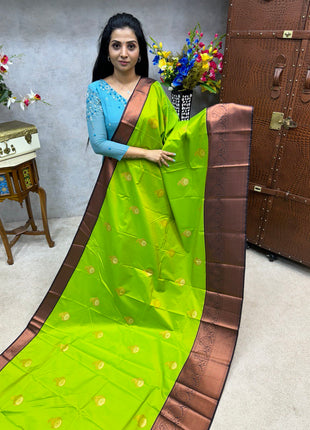 Premium Kanchi Coffee Brown Border