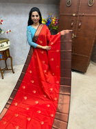 Premium Kanchi Coffee Brown Border