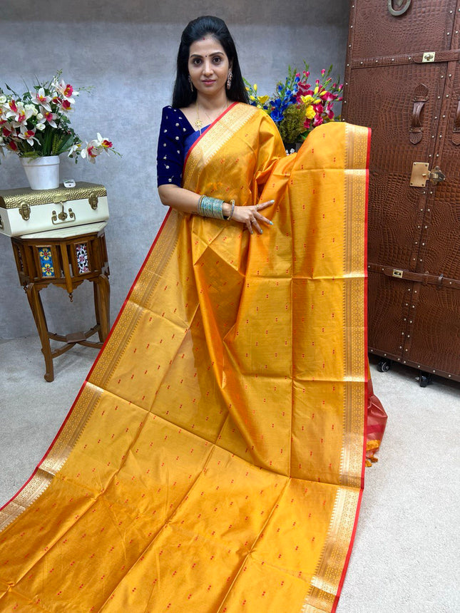 Banana Pith Saree