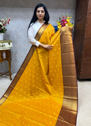 Vaira Oosi Golden Zari