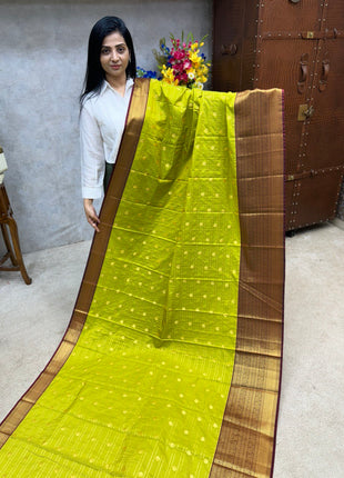 Vaira Oosi Golden Zari