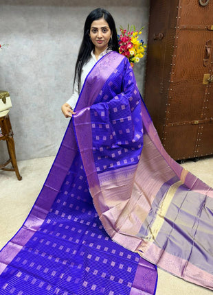 Kanchi Silk Silver Zari
