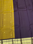 Handloom Kanchipuram Silk