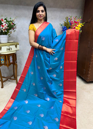 Premium Kanchi