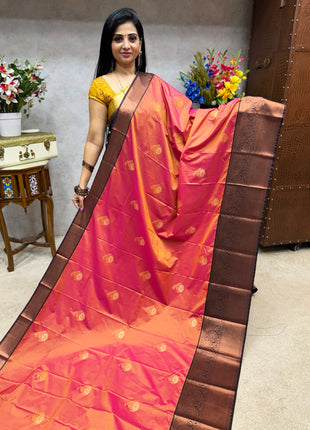 Premium Kanchi