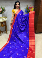 Premium Kanchi