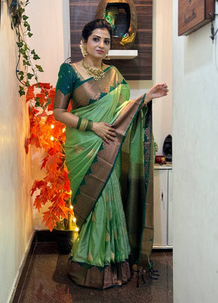Premium Kanchi