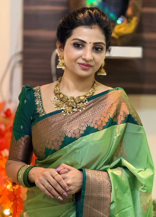 Premium Kanchi