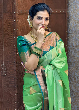 Premium Kanchi