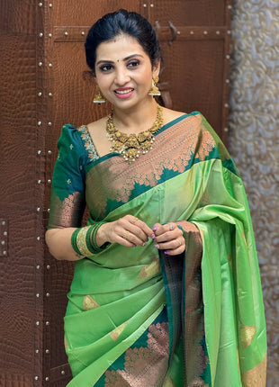 Premium Kanchi