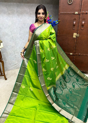 Premium Kanchi Silver Zari