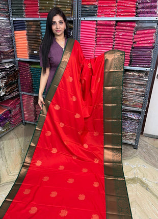 Premium Kanchi