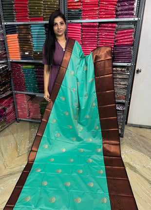 Premium Kanchi Coffee Brown Border