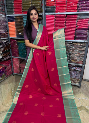 Premium Kanchi