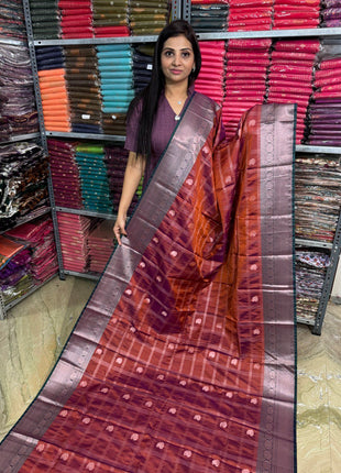 Lakshmi Pattu Silver Zari