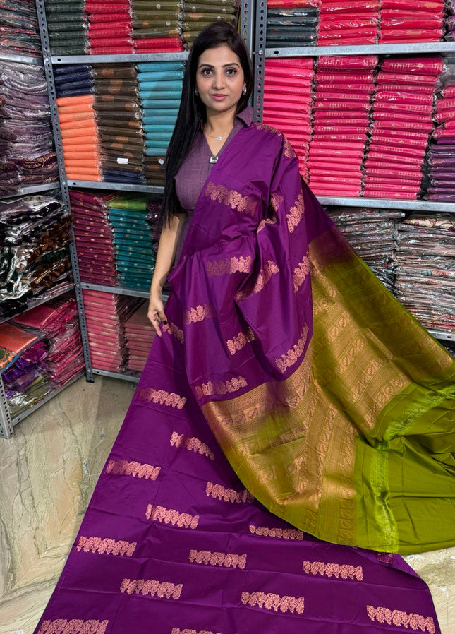 Border Less Kanchi Silk