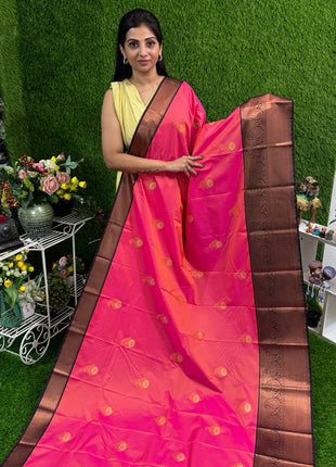 Premium Kanchi Coffee Brown Border
