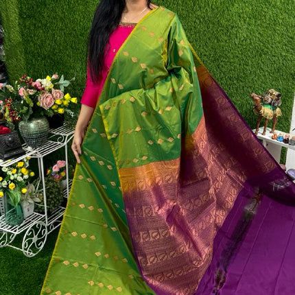 Border Less Kanchi Silk