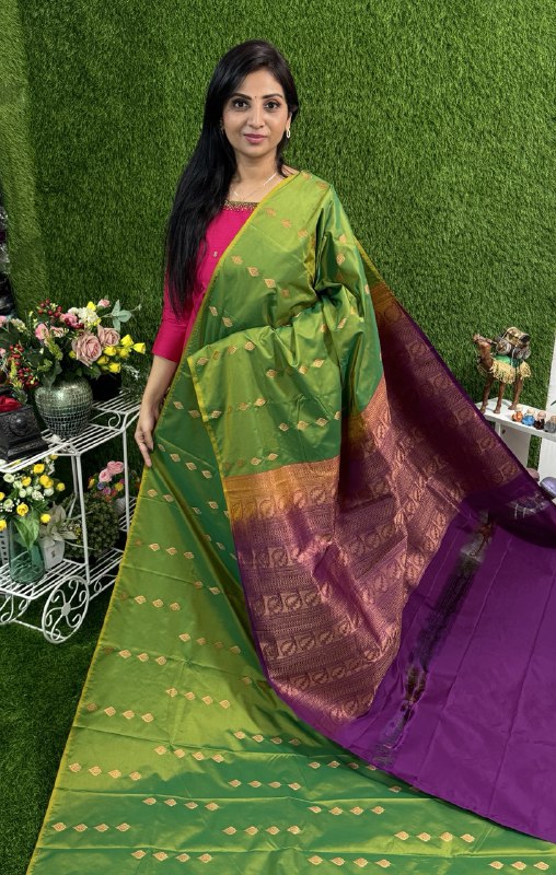 Border Less Kanchi Silk