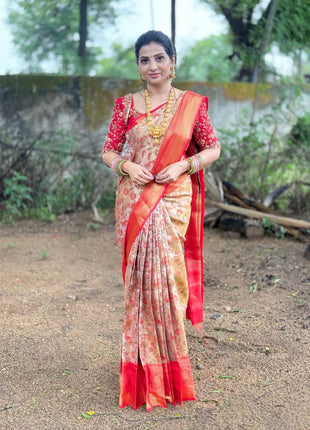 Dharmavaram Silk