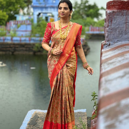 Dharmavaram Silk