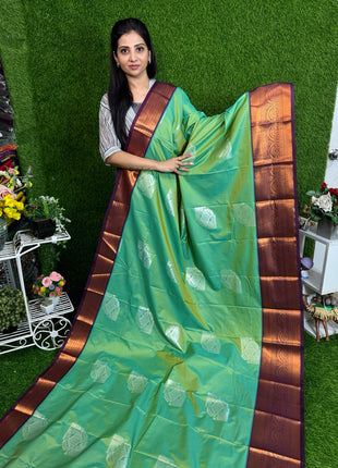 Premium Kanchi