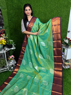 Premium Kanchi