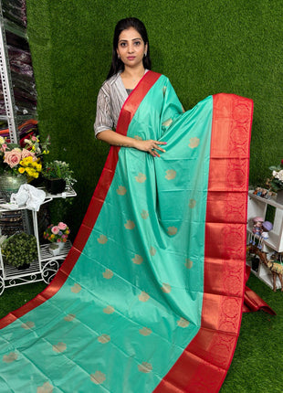 Premium Kanchi