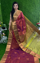 Premium Kanchi