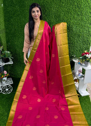 Premium Kanchi