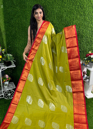 Premium Kanchi