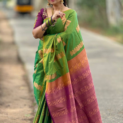 Border Less Kanchi Silk