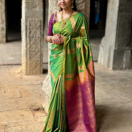 Border Less Kanchi Silk