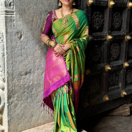 Border Less Kanchi Silk