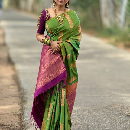 Border Less Kanchi Silk