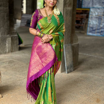 Border Less Kanchi Silk