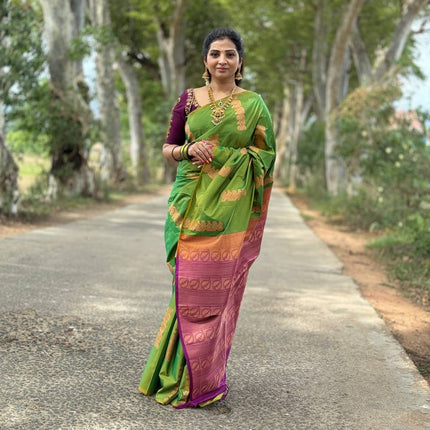 Border Less Kanchi Silk