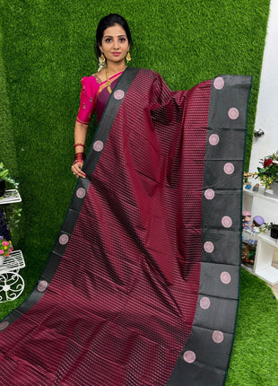 Kanchi Silk Silver Zari