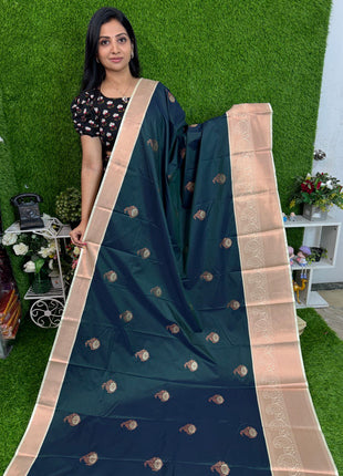 Premium Kanchi