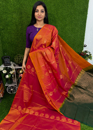 Border Less Kanchi Silk
