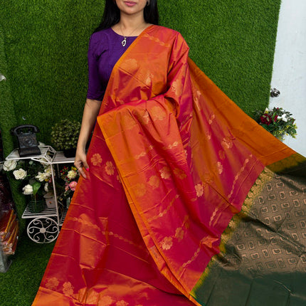 Border Less Kanchi Silk