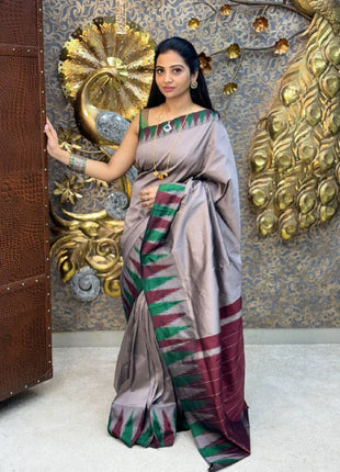 Pure Kanchi Silk Cotton