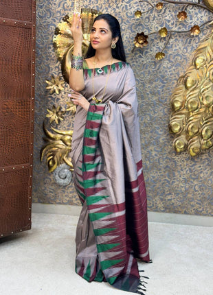Pure Kanchi Silk Cotton