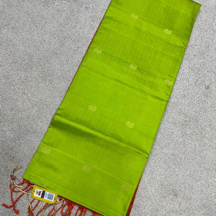 Handloom Kanchipuram Silk