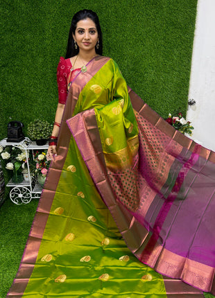 Premium Kanchi